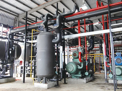 Proyek Pengolahan Ayam Broiler di Malaysia