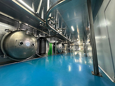 Proyek Freeze-Drying di Yantai