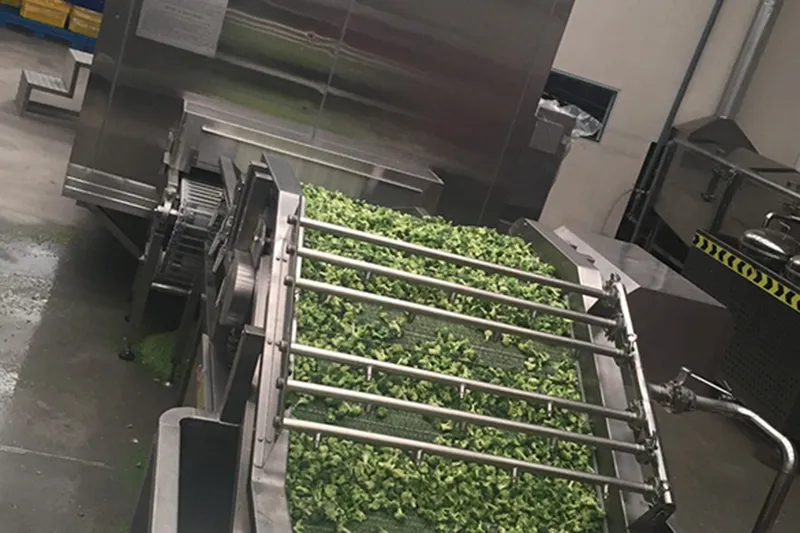 Pembekuan Fluidized Bed