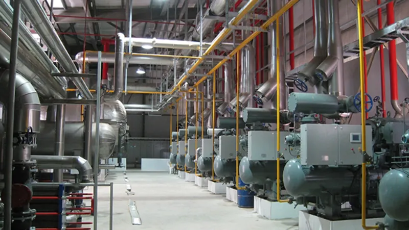 Pengolahan Ayam, Mesir