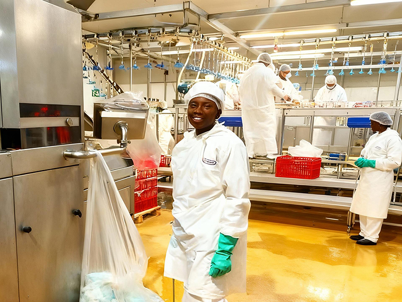 Proyek Peralatan Spiral Freezing untuk BC Company, Afrika Selatan