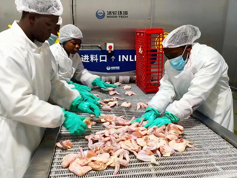 Proyek Peralatan Spiral Freezing untuk BC Company, Afrika Selatan