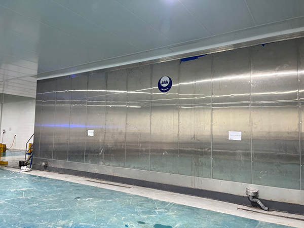 Proyek Freezer IQF untuk Pemrosesan Stroberi di Mesir