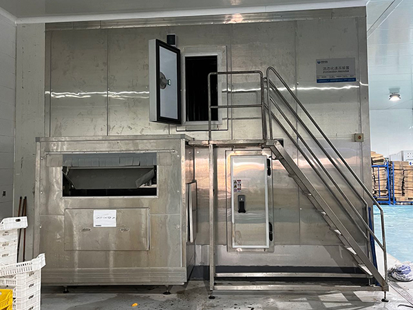 Proyek Freezer IQF untuk Pemrosesan Stroberi di Mesir