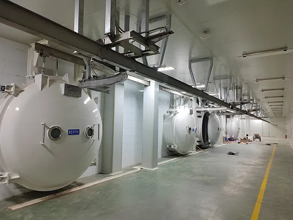 Proyek Jalur Produksi Freeze-Drying Pabrik Makanan Yunnan, China