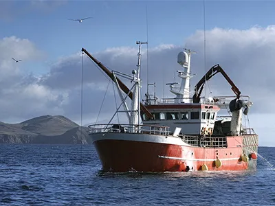 Sammak Seafood, Arab Saudi