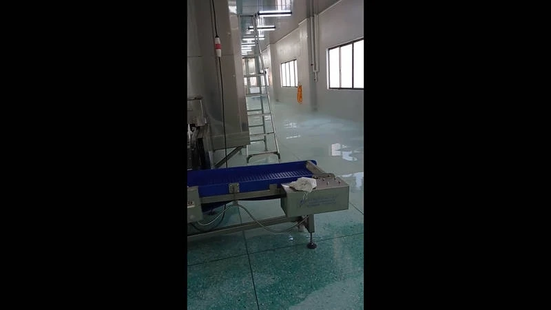 Mesh Belt Tunnel Freezer