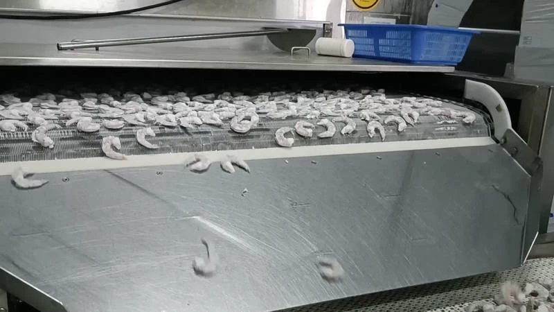Plate Belt Tunnel Freezer
