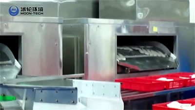 Carton Freezer